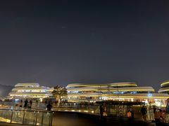 -野狸岛