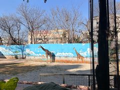 -昆明动物园