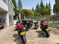 -小六农家乐(崇明西沙湿地店)