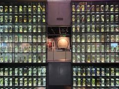 -广东中医药博物馆