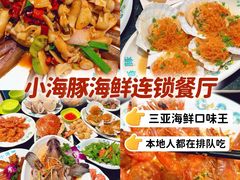 -亚龙湾热带天堂森林公园