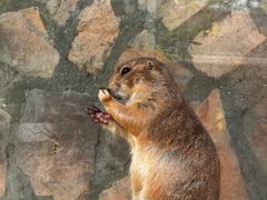 -珠海海泉湾神秘岛亲子乐园