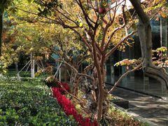 -北京希尔顿逸林酒店