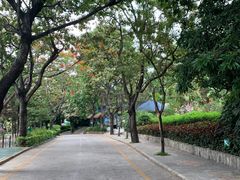 -深圳野生动物园