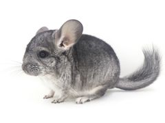 -龙猫仔乐园(惠福东路店)