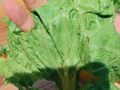 -九田家黑牛烤肉料理(长春路友好店)