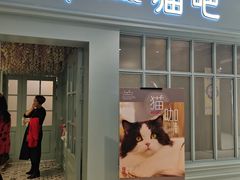 门面-安格丽娜·狗咖·猫咖羊驼咖(春熙路百盛商场店)