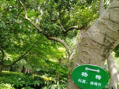 -汇龙潭