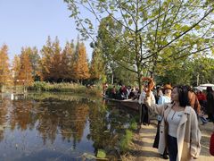 -白鹭湾湿地公园