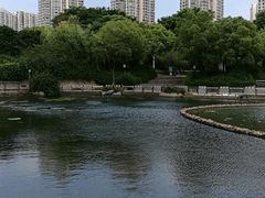 -苏州河梦清园环保主题公园