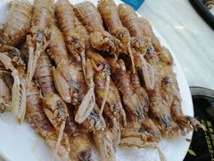 -欢乐海岸美食联盟