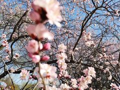 -朝阳公园