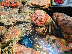 -盒马X会员店(王府井奥莱UP TOWN店)