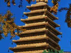 -北京石刻艺术博物馆(五塔寺)