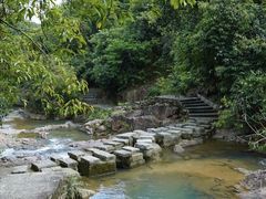 -广州白江湖森林公园