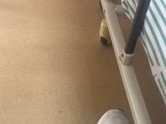 -全家便利店(槐树巷店)