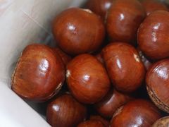 -鑫鑫栗王(吉祥商城店)