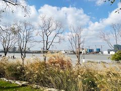 -上海山野camping·户外天幕烧烤·团建拓展营地
