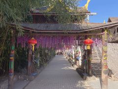 -呀路古热带植物园