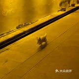 他说这里老房子多，意味着也多