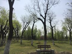 -洨河生态公园