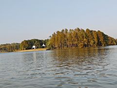 -上海海湾国家森林公园