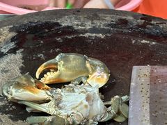 -老财炒饭·熟地蟹·冬瓜蟹