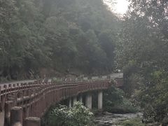 -广州市石门国家森林公园