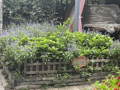 -慢丽江·云南野生菌土鸡锅(西山店)