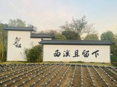 -西溪国家湿地公园