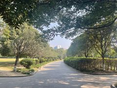 -成都南湖公园
