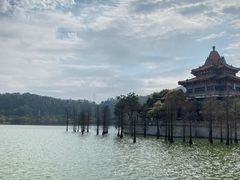 -顺峰山公园