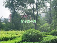 -滨河世纪广场公园