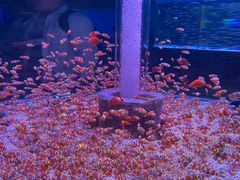 -海合安成都极地海洋公园