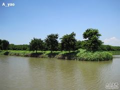 -大湾区中央湿地公园