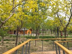 -东郊湿地公园