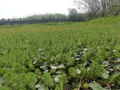 -云漫湖生态度假公园