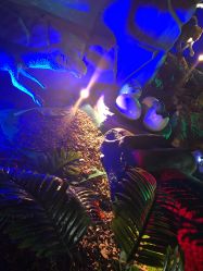 -恐龙探索乐园(磁器口店)