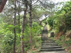 -风云岭森林公园