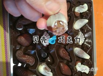 今天吃点啥～贝壳巧克力