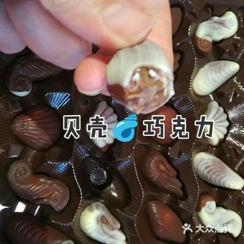 今天吃点啥～贝壳巧克力