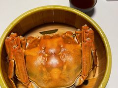 大闸蟹-同庆楼(金宝汇店)