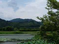 -径山花海