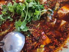 -胖大姐黄辣丁鱼庄(新津店)