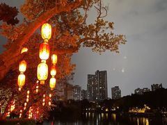 -荔湾湖公园