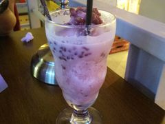 -猫咪博物馆(顶澳仔猫街店)