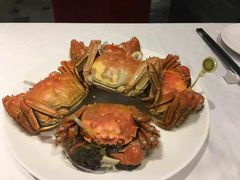 -新花城蟹粉馆(乌鲁木齐店)