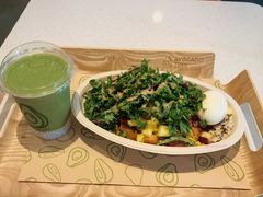 -油梨树 AVOCADO TREE(亮马桥店)