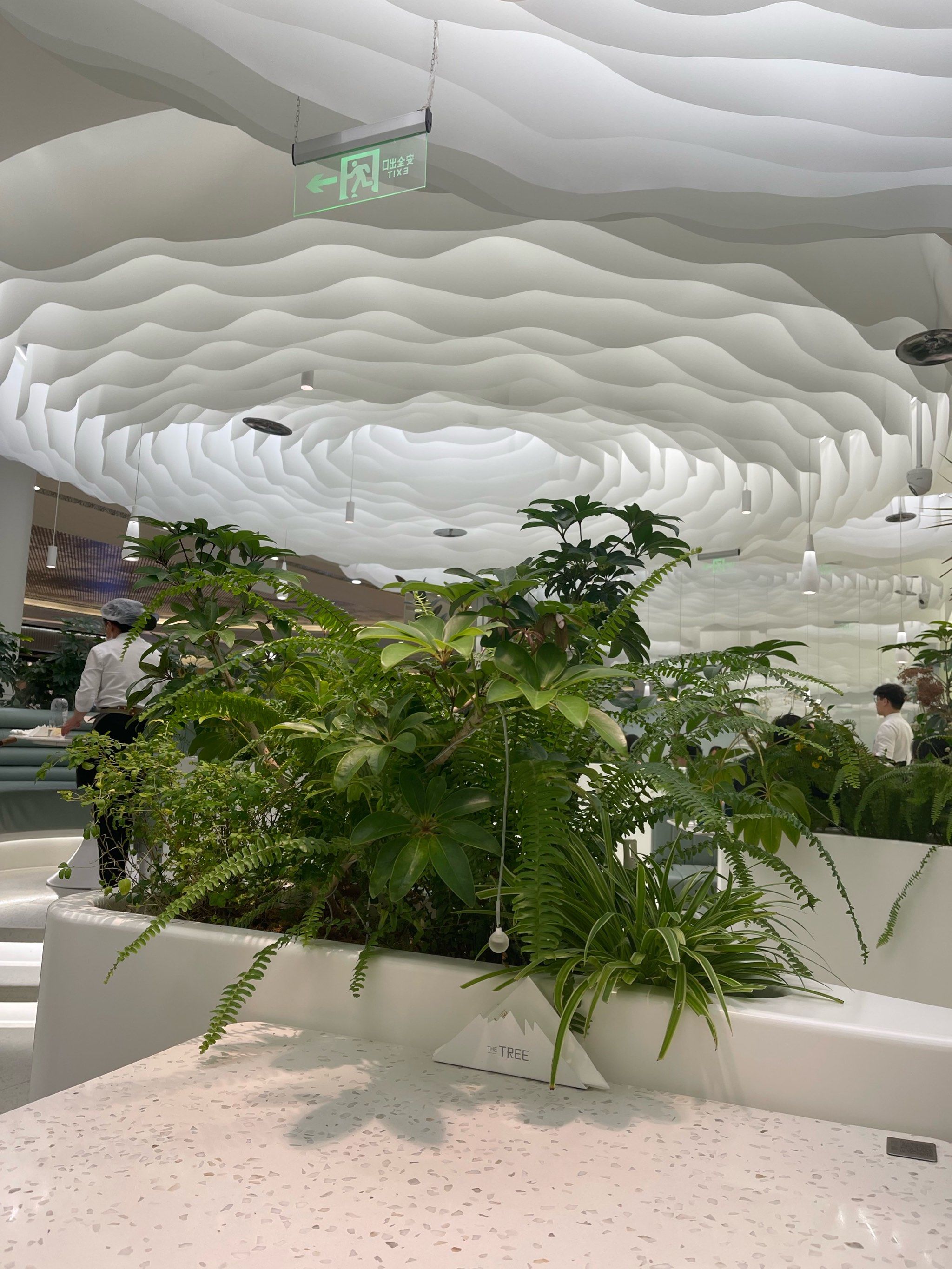 大树餐厅环境满分