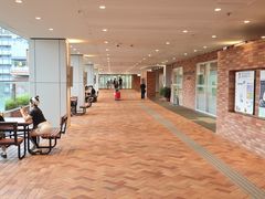 -香港大学